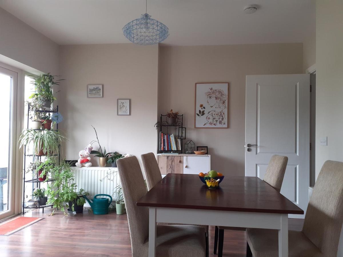 Ensuite At The Foot Of Dublin Mountains 외부 사진
